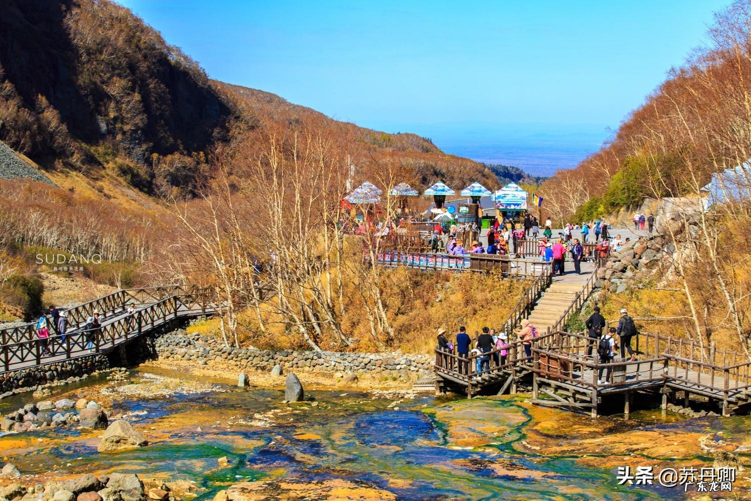 龙吸水风水局 风水海龙价格多少钱