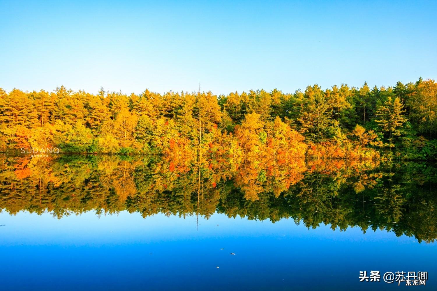 龙吸水风水局 风水海龙价格多少钱