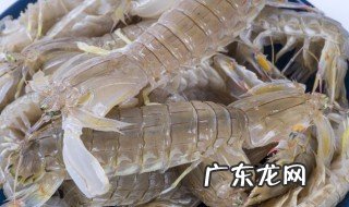 如何判断虾姑新鲜 虾姑的挑选方法