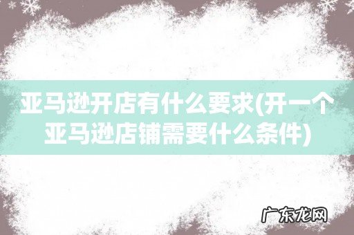 开一个亚马逊店铺需要什么条件 亚马逊开店有什么要求
