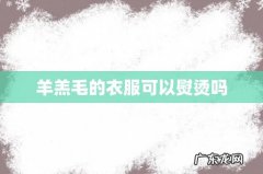 羊羔毛的衣服可以熨烫吗