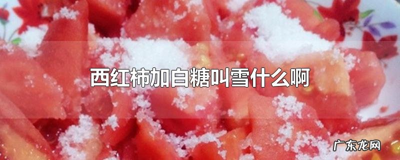 西红柿加白糖叫雪什么啊