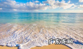 海鬣蜥分布在哪些地方 海鬣蜥的特征是什么