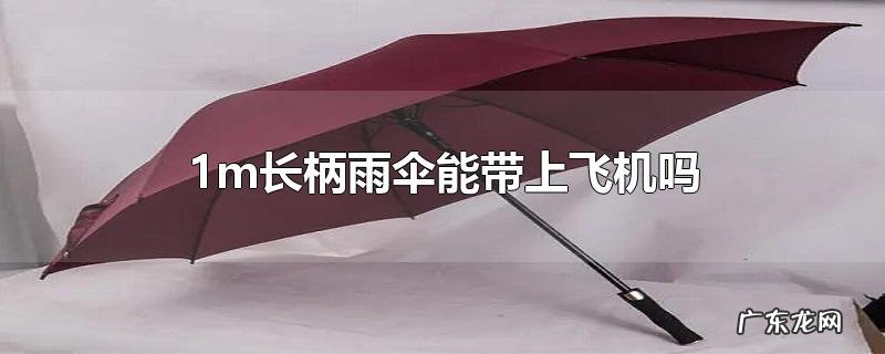 1m长柄雨伞能带上飞机吗