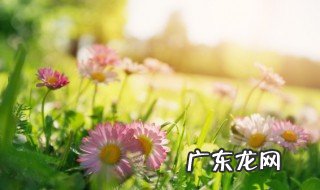 唯美昵称女生简短好听韩文 qq名字女生小清新