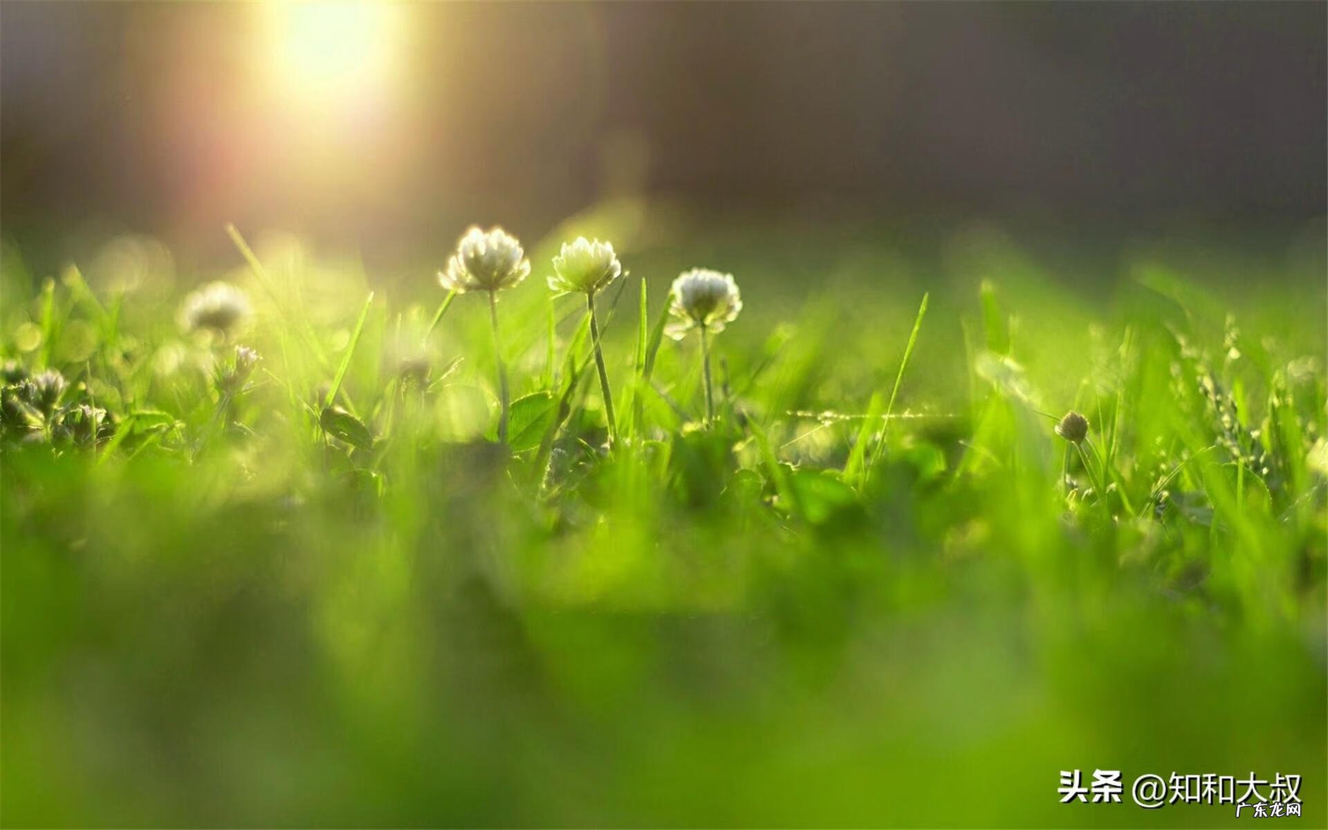 女人可以学风水吗 女人自学风水方法图解