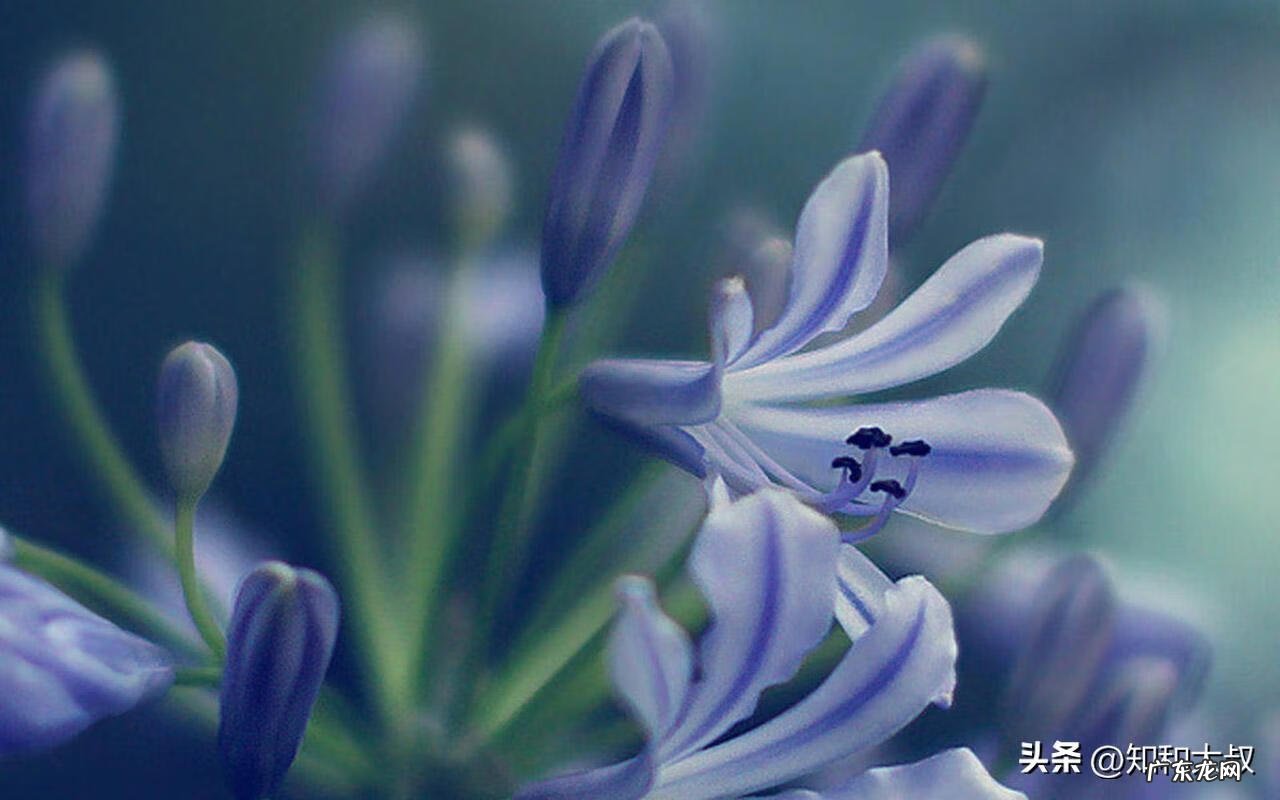 女人可以学风水吗 女人自学风水方法图解