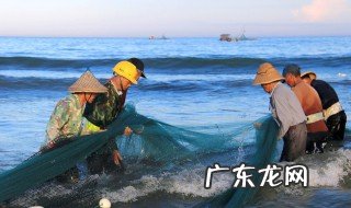 日常食用鱼的种类有哪些 日常食用鱼的种类有什么