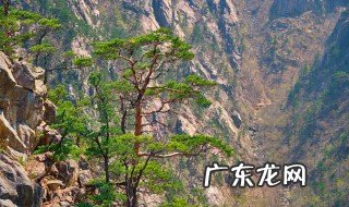 陇南有哪些著名旅游景点 陇南有什么著名旅游景点