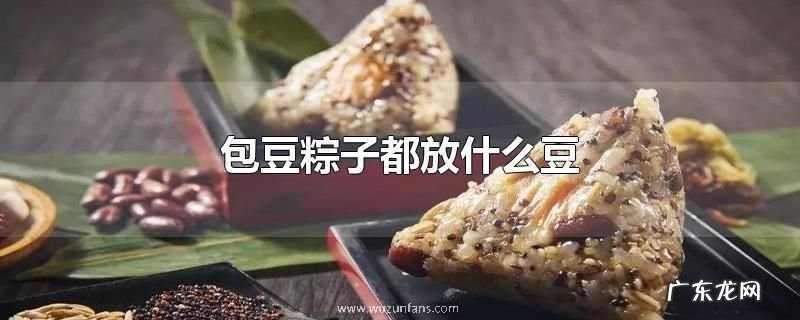 包豆粽子都放什么豆