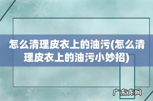 怎么清理皮衣上的油污小妙招 怎么清理皮衣上的油污