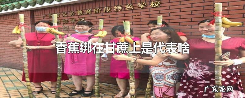 香蕉绑在甘蔗上是代表啥