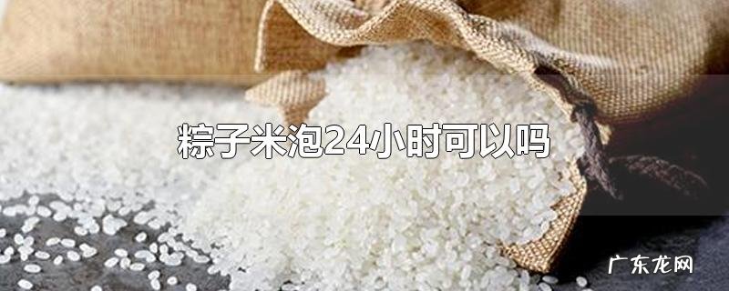 粽子米泡24小时可以吗