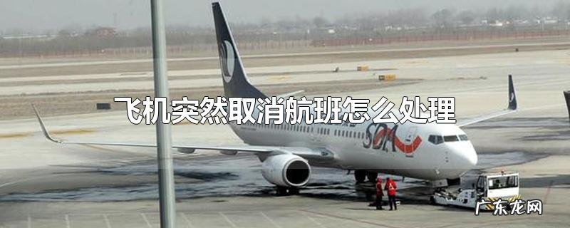 飞机突然取消航班怎么处理