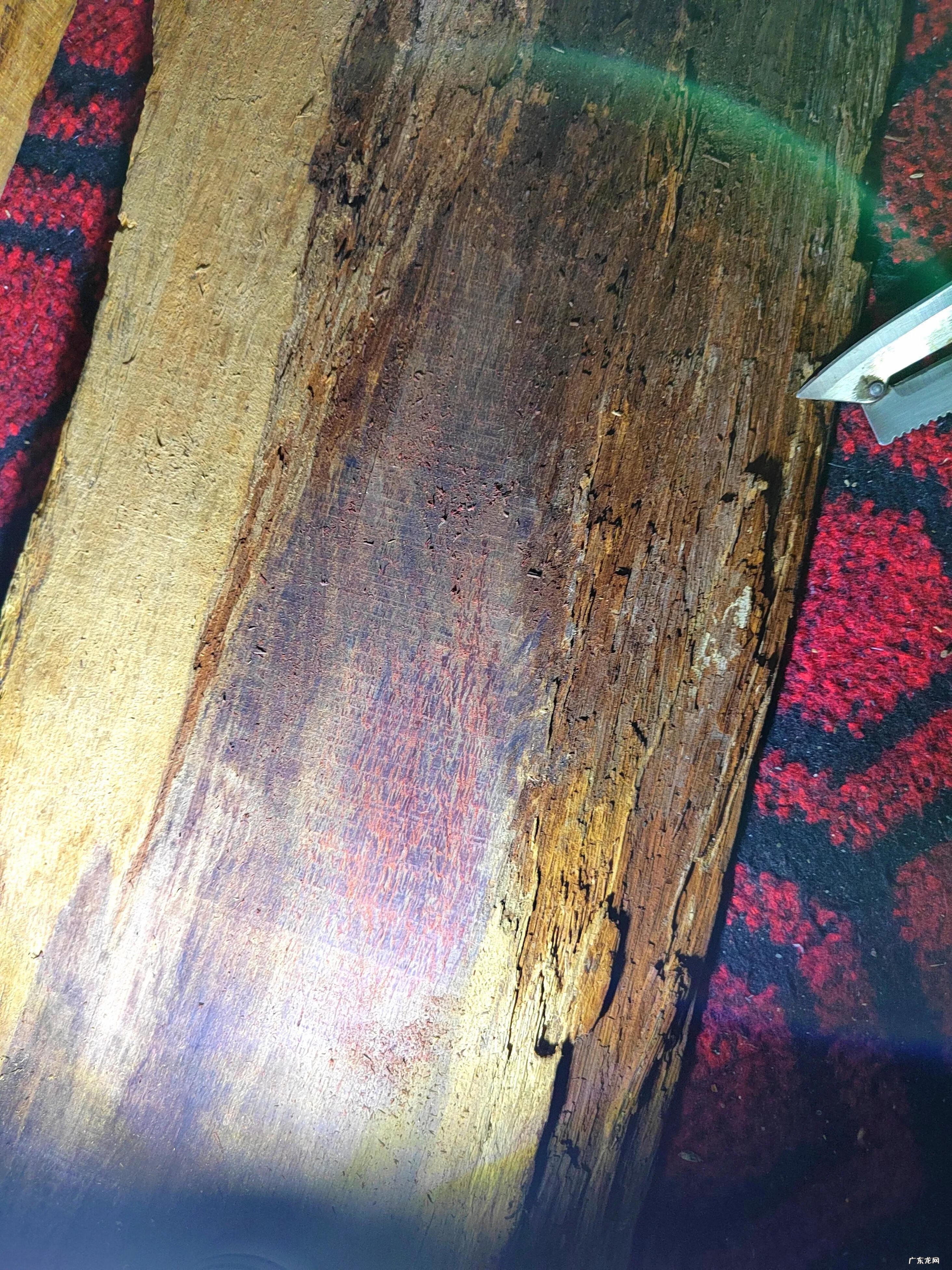 紫奇楠沉香的特点 紫奇楠沉香手串