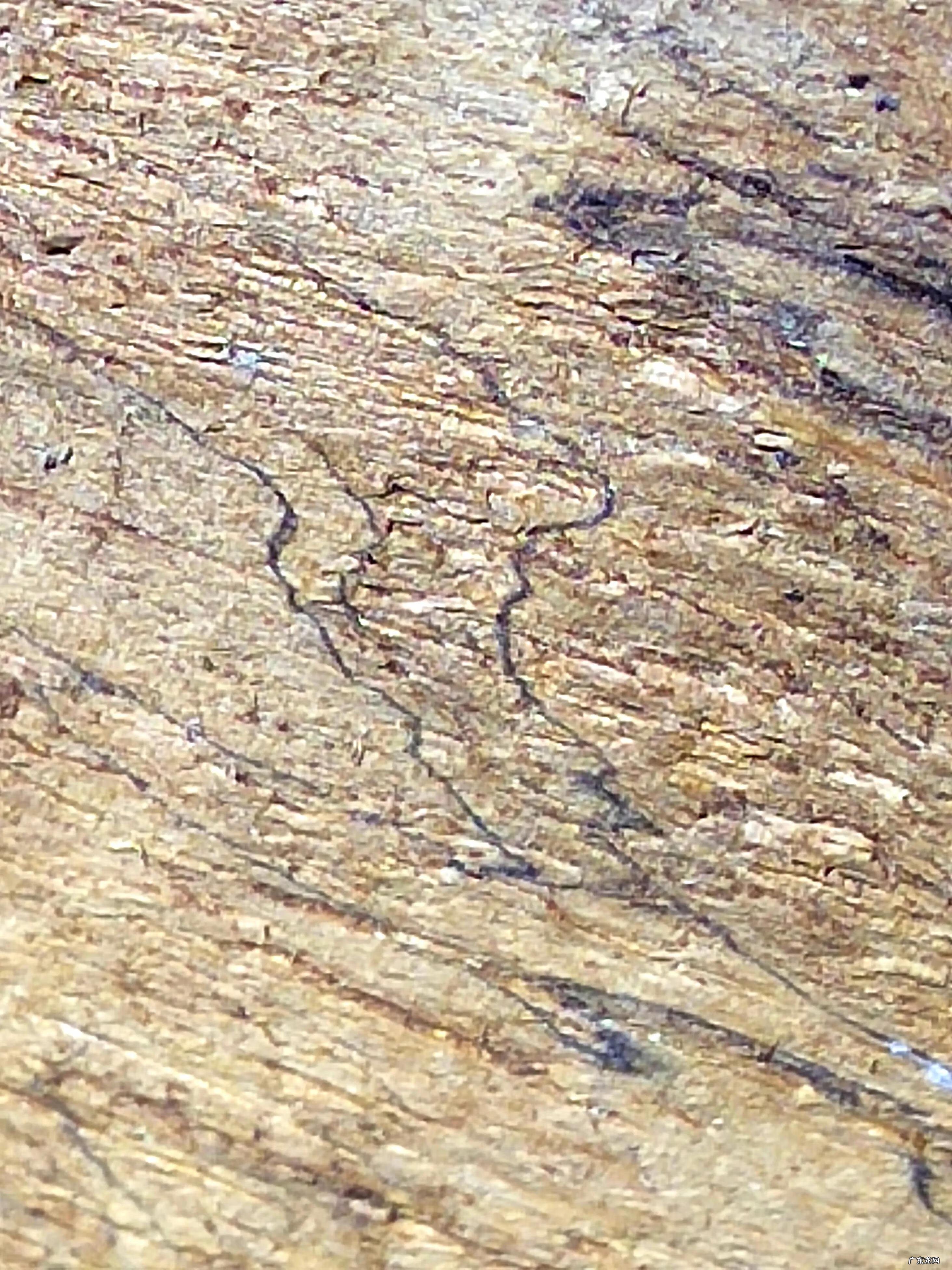 紫奇楠沉香的特点 紫奇楠沉香手串