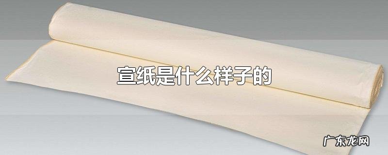 宣纸是什么样子的