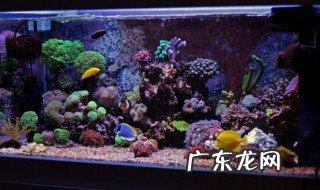 缸漏水怎么办 缸漏水应该怎么补