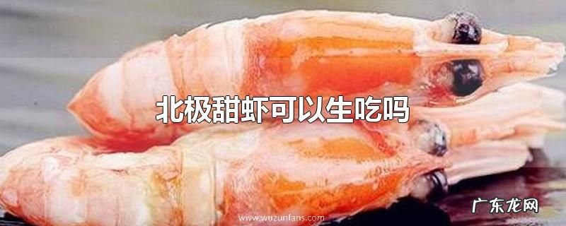 北极甜虾可以生吃吗
