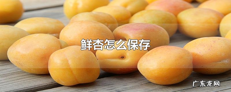 鲜杏怎么保存
