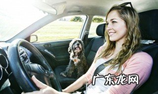 什么车适合去自驾游的地方 自驾游什么车好