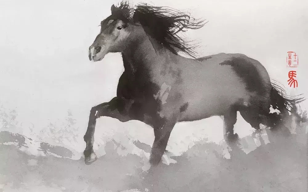 养宠物兔子破坏风水怎么办