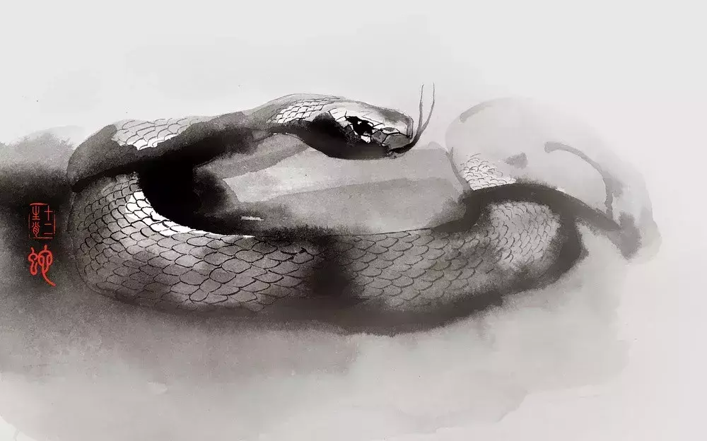 养宠物兔子破坏风水怎么办