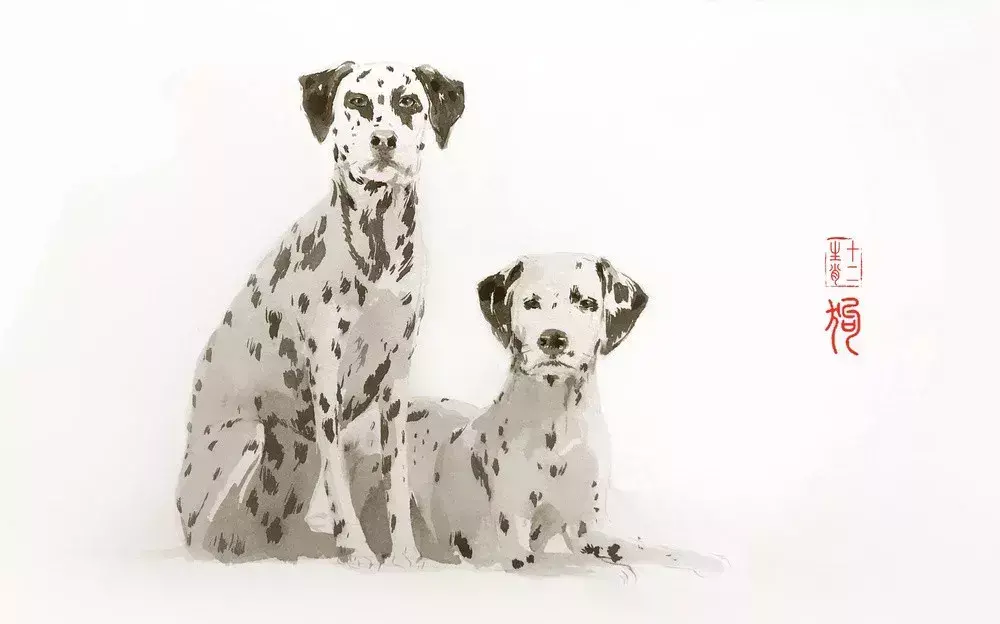 养宠物兔子破坏风水怎么办