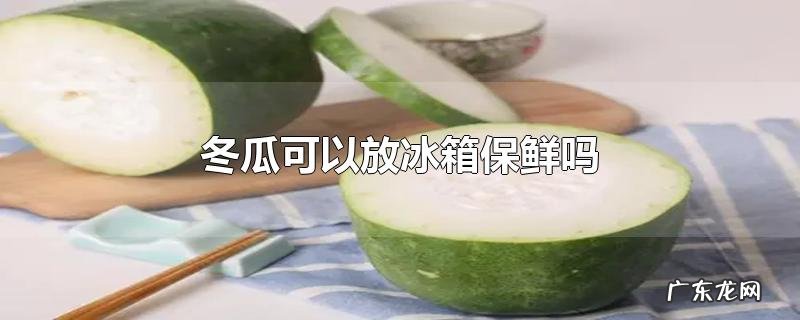 冬瓜可以放冰箱保鲜吗