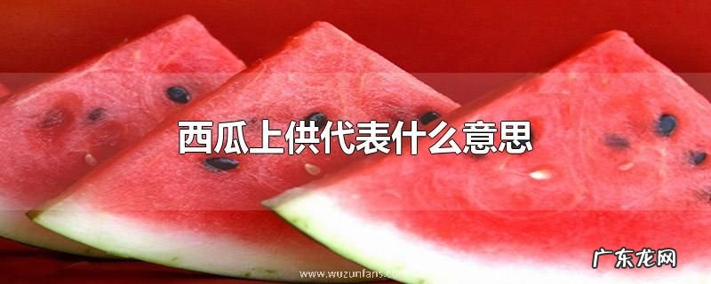 西瓜上供代表什么意思