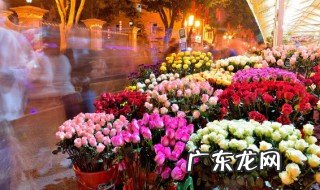 中秋节送女朋友什么花 中秋节送女朋友哪种花合适