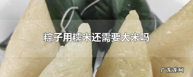 粽子用糯米还需要大米吗