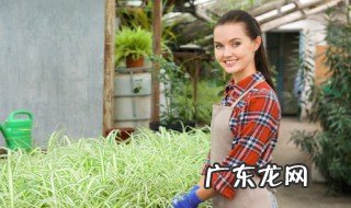 常见违禁植物有哪些 常见违禁植物有哪几种