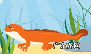 娃娃鱼会不会咬人 娃娃鱼会咬人吗