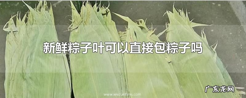 新鲜粽子叶可以直接包粽子吗