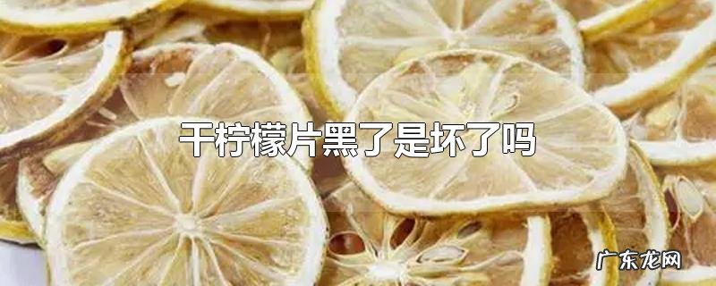 干柠檬片黑了是坏了吗