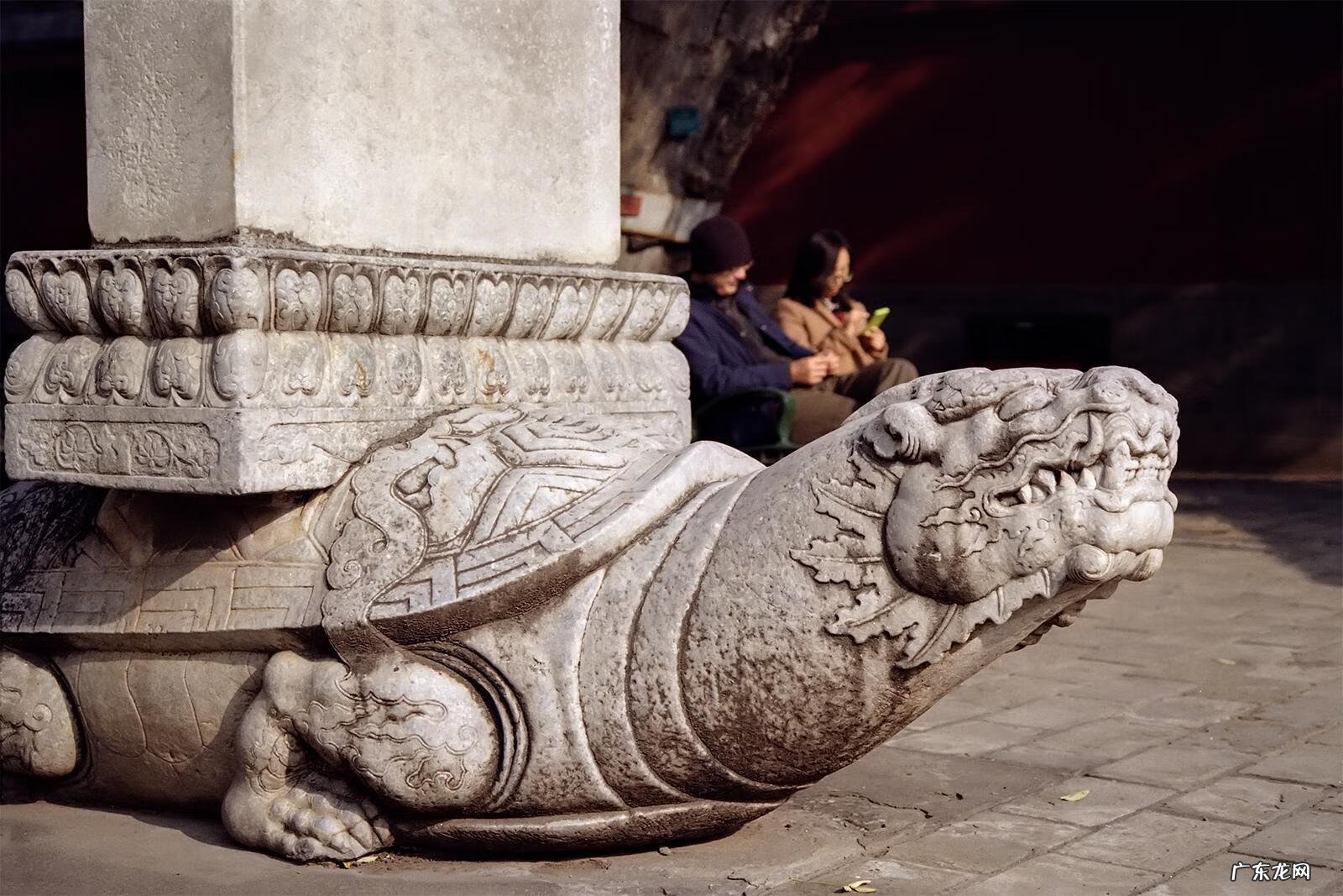 水牛风水作用 水牛 风水
