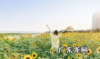 女生简单气质名字大全 优雅名字女生大全