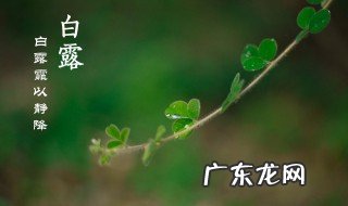 白露时节的简介 白露是什么节气