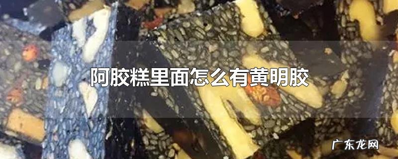 阿胶糕里面怎么有黄明胶