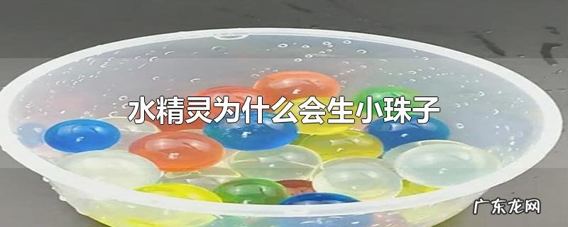 水精灵为什么会生小珠子