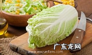 怎么做家常大白菜 家常大白菜的做法介绍