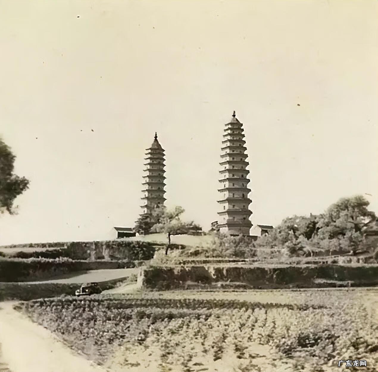 凤凰街印风水特征