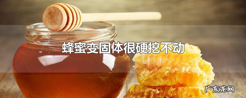 蜂蜜变固体很硬挖不动