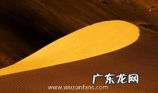 沙漠之国是哪个国家 沙漠之国指的是什么国家