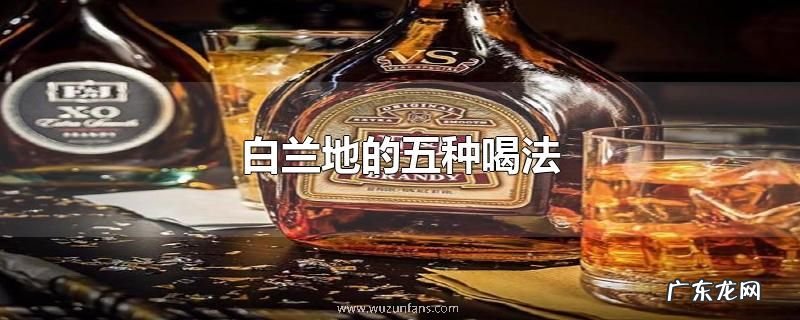 白兰地的五种喝法
