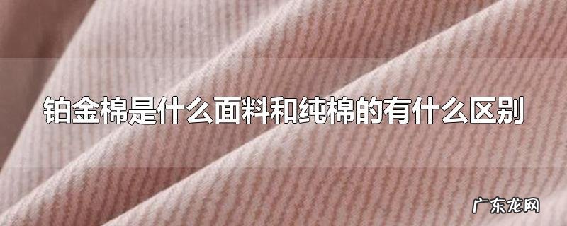 铂金棉是什么面料和纯棉的有什么区别