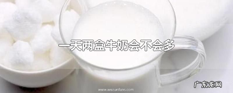 一天两盒牛奶会不会多