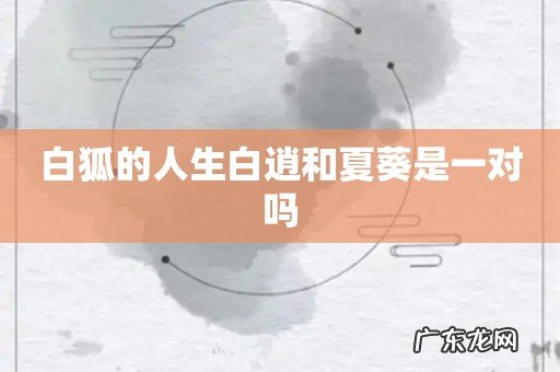 白狐的人生白逍和夏葵是一对吗