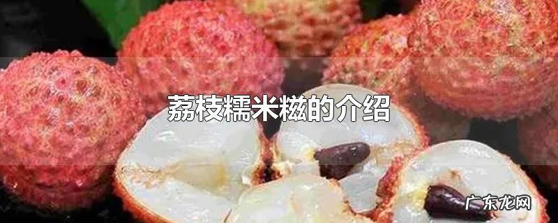 荔枝糯米糍的介绍